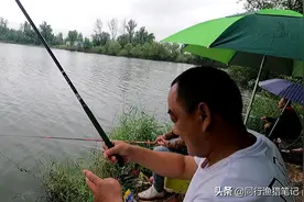 为了几条便宜鱼，硬生生把自己送进了班房，钓鱼人的天堂遭破坏图片