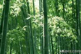 上联: 竹本无心奈何节外生枝。下联: 诚邀各位来妙对图片