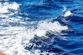 宋朝海水篇，登峰造极的文化高峰，挽救美国大萧条的青苗法图片