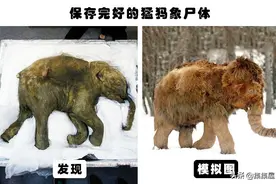 冰层里的神秘发现：多年来，人类在冰层里找到的6个可怕的发现图片