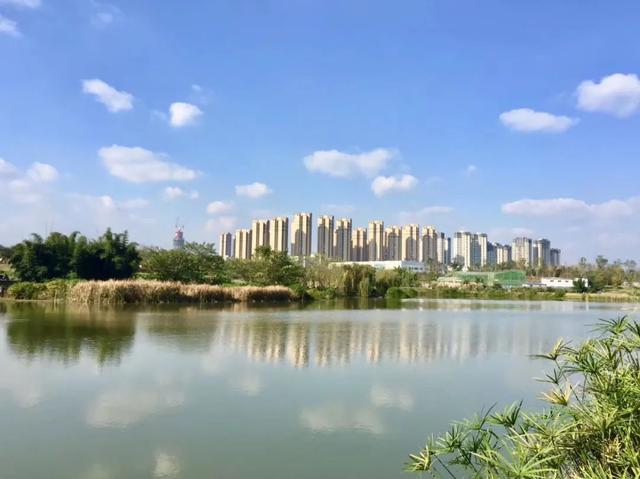 2020最新版《成都社保、户口、购房资格指南》！建议收藏