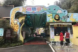 十堰市动物园今天正式恢复开园，这类人员可免票一年图片