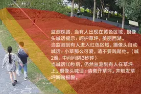 车辆一违停 小喇叭就喊话 西湖景区国庆上线综合智控平台图片