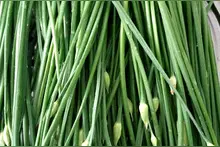 小时候在农村的3种乐趣，是城市的孩子体会不到的图片