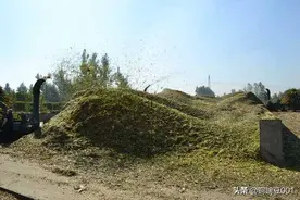 秸秆青贮及氨化技术操作规程图片