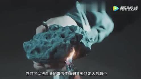 沙海：张大佛爷在古潼京隐藏了什么？背后的大工程竟是蛇矿