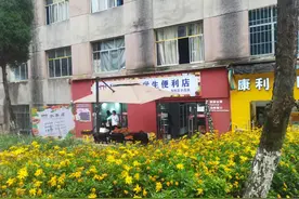 贵阳一卖水果大姐爱飚英语！大学生没过四级不敢接嘴图片