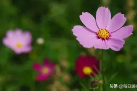 《人一辈子，真的很不容易》一辈子，忙忙碌碌，心里的痛，谁能懂图片
