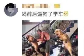 盘点那些让人爆笑醉酒后的迷惑行为图片