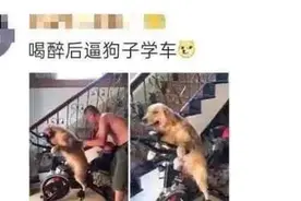 盘点那些让人爆笑醉酒后的迷惑行为图片