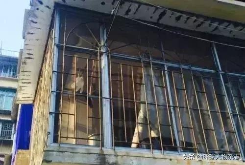 北大弑母者被抓:当那个“别人家的孩子”成为恶魔,才是世界上最恐怖的故事