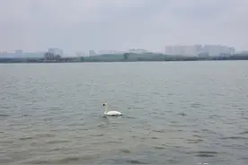 郑州北龙湖湿地公园绕湖一周将近20公里，雨天景色美爆了。图片