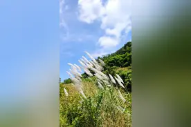 #成都头条#徒步彭州三味禅院～丹景山图片