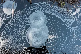 窝里鱼星乱冒就是不吃钩！老钓友教你破解之法，连杆爆护再无烦恼图片