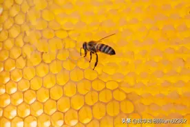 高二数学—排列组合解法20种图片