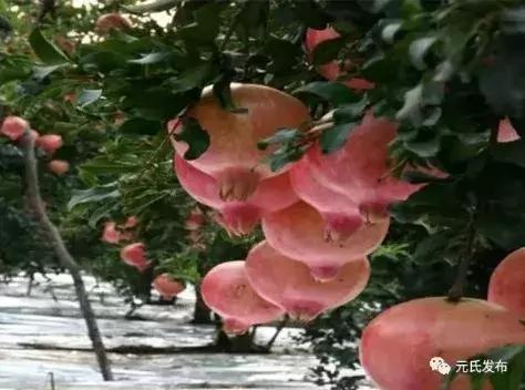 中央财政扶持！河北要新添25张金名片！邯郸两县上榜