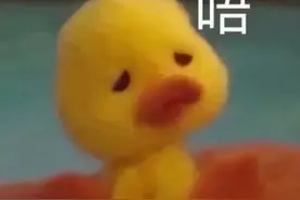 表情包 可爱小黄鸭表情包图片