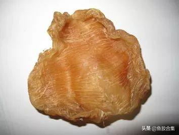 墨西哥金钱鳘鱼胶图片 2026年墨西哥鱼胶好不好