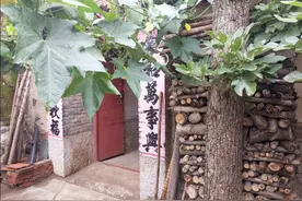 家住农村，会遇到有蛇进家的情况，你觉得是好事儿吗？图片