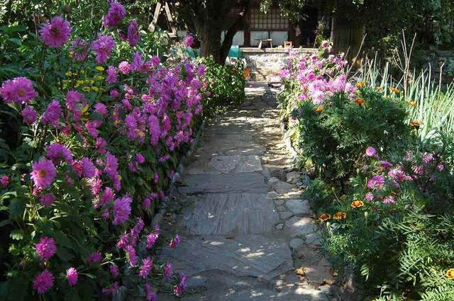 养花不知道怎么施肥？这三种废水别倒，浇花枝壮叶茂开花多！