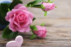 暧昧到断联，男人是什么心理？三种原因图片