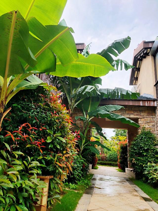 在海南的日子有个小院是很惬意的事情