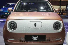 欧拉黑猫加速电机异响怎么解决？图片