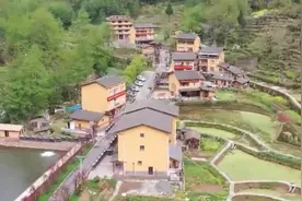 推进产业融合发展 重庆的乡村振兴路这样走图片