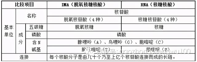 高中生物：易错易混知识点对比，搞懂别再错啦