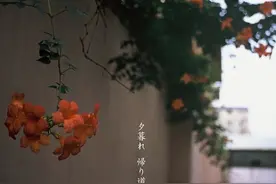 老公为了娶我，耍了个手段，结局暖哭了图片