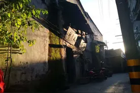 新晃故事：一只土鸡可以变凤凰吗？图片