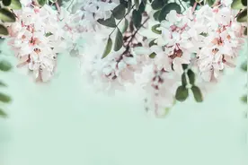 男人变心了，如此处理，心就不会那么痛了图片