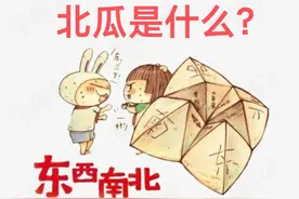 有冬瓜、西瓜、南瓜，为什么唯独缺了北瓜？其实北瓜你也经常吃图片