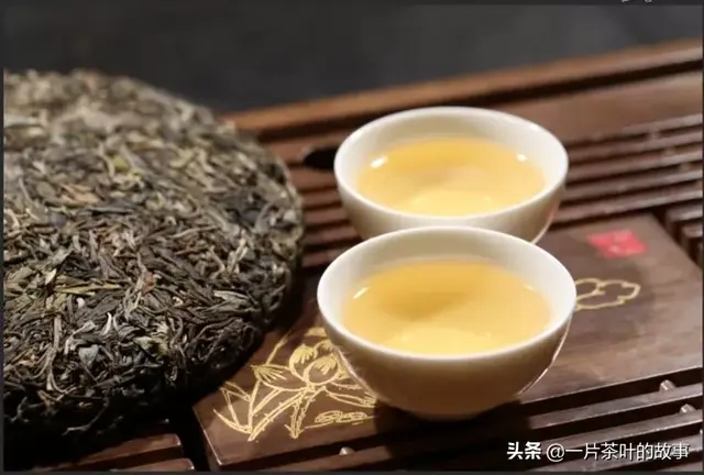 普洱茶从入门到精通的95个专业术语（建议收藏）