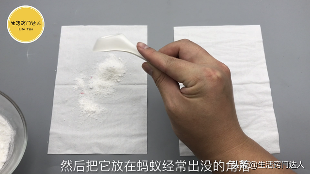 蚂蚁怕啥（灭蚂蚁用不到开水）