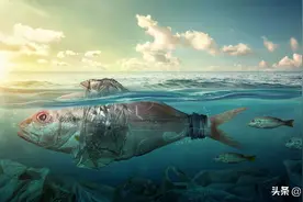 78亿人类仅占地球生命的万分之一？所有物种占比这张图一目了然图片