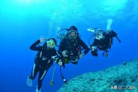 自由行必备英语1.0填错很严重！海关申报单上的英文图片