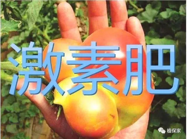 注意！这些“水溶肥”千万别买
