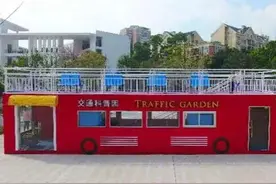 不要错过，深圳十大适合小朋友的免费又好玩的地方图片