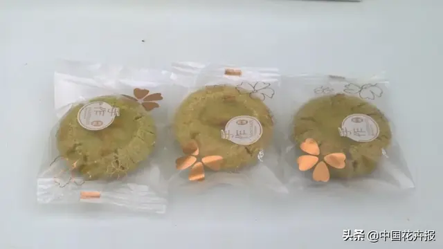 北国杏花初绽，江南已是油菜花漫山，“可甜可盐”的彩色油菜花，爱了！