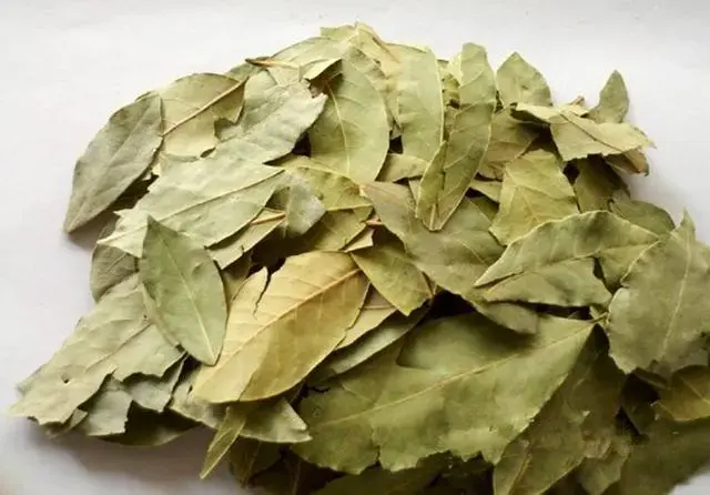 香辛料是什么原料（40种最常见的香料特性）