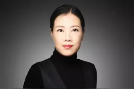 叶檀微博大型翻车现场图片