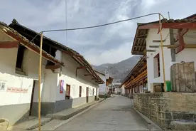 秦岭大山深处的村庄，村边不起眼的山沟，常能见到野生大熊猫图片