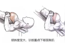 举铁练胸必修课——下斜哑铃飞鸟图片