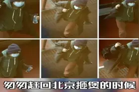 娱记曝王菲回京谢霆锋却紧急离京，或将分手消息告公司，感情堪忧图片