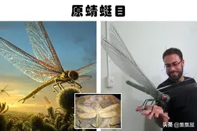 过去和现在地球上存在的7种非常巨大的动物图片