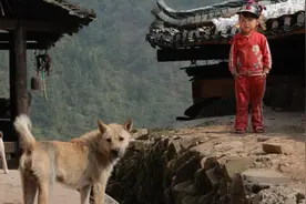 农村老话：“家狗窖顶往下看，必杀家狗莫怠慢”，这话如何理解？图片