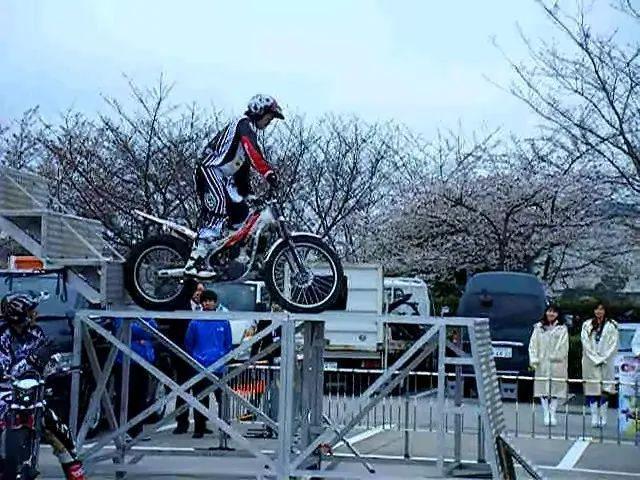 开播20年，评分9.5的「成人向」日剧完结，童年男神太意难平