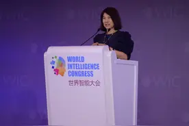 孤独的制造业女皇——董明珠图片