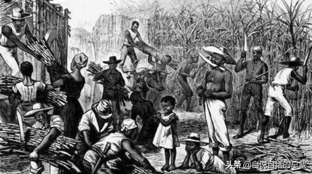 糖：最甜蜜的杀手，成瘾性极强？我们为什么无法戒糖…